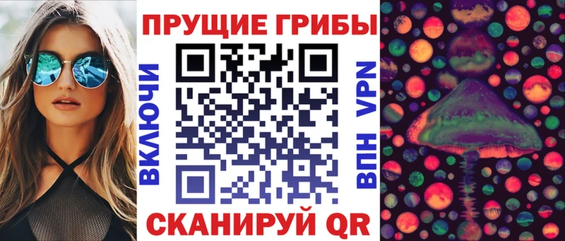 Псилоцибиновые грибы прущие грибы  Йошкар-Ола 