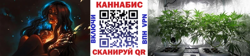 ссылка на мегу зеркало  купить наркоту  Йошкар-Ола  Бошки марихуана White Widow 